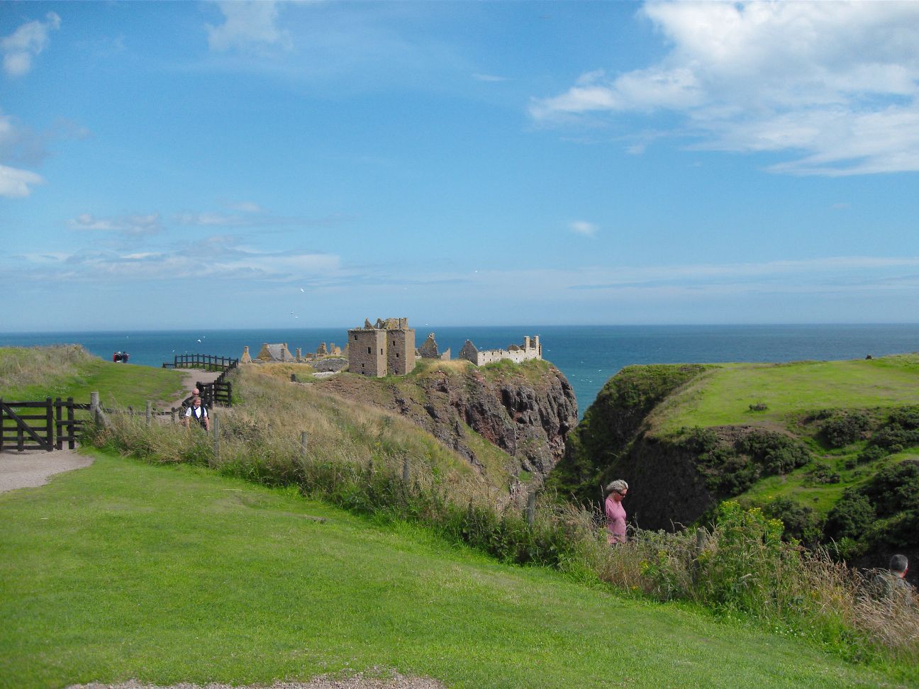 SDC10994.JPG