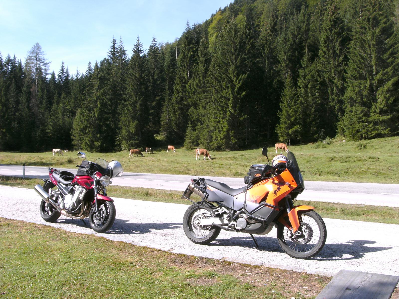 BILD0200.JPG
