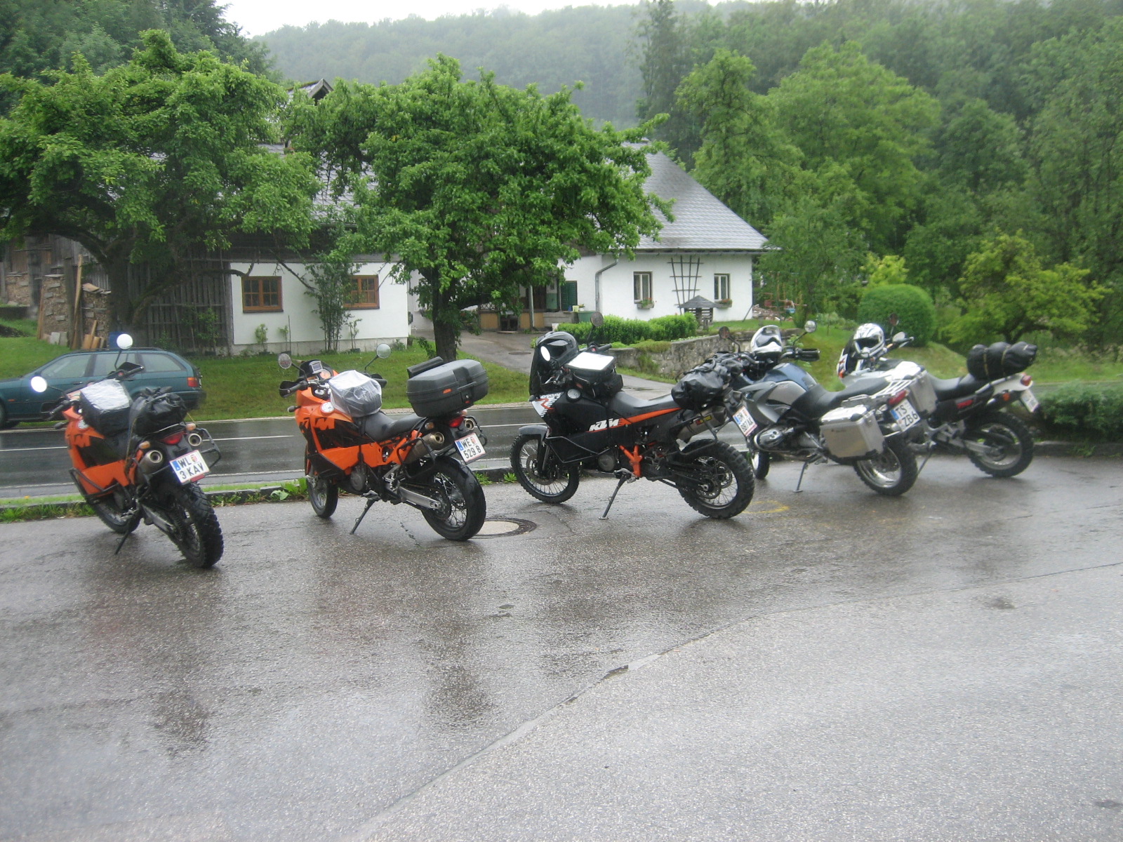 IMG_1667.jpg