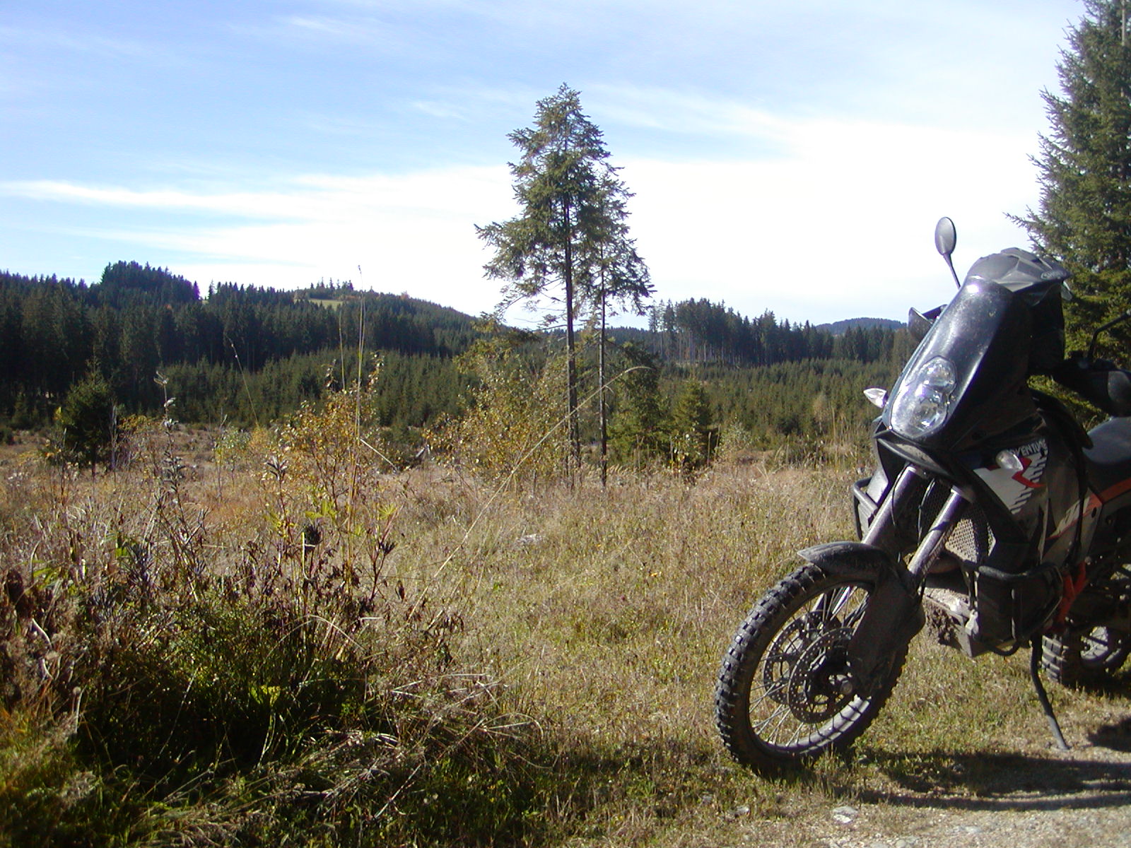 PA140015.JPG