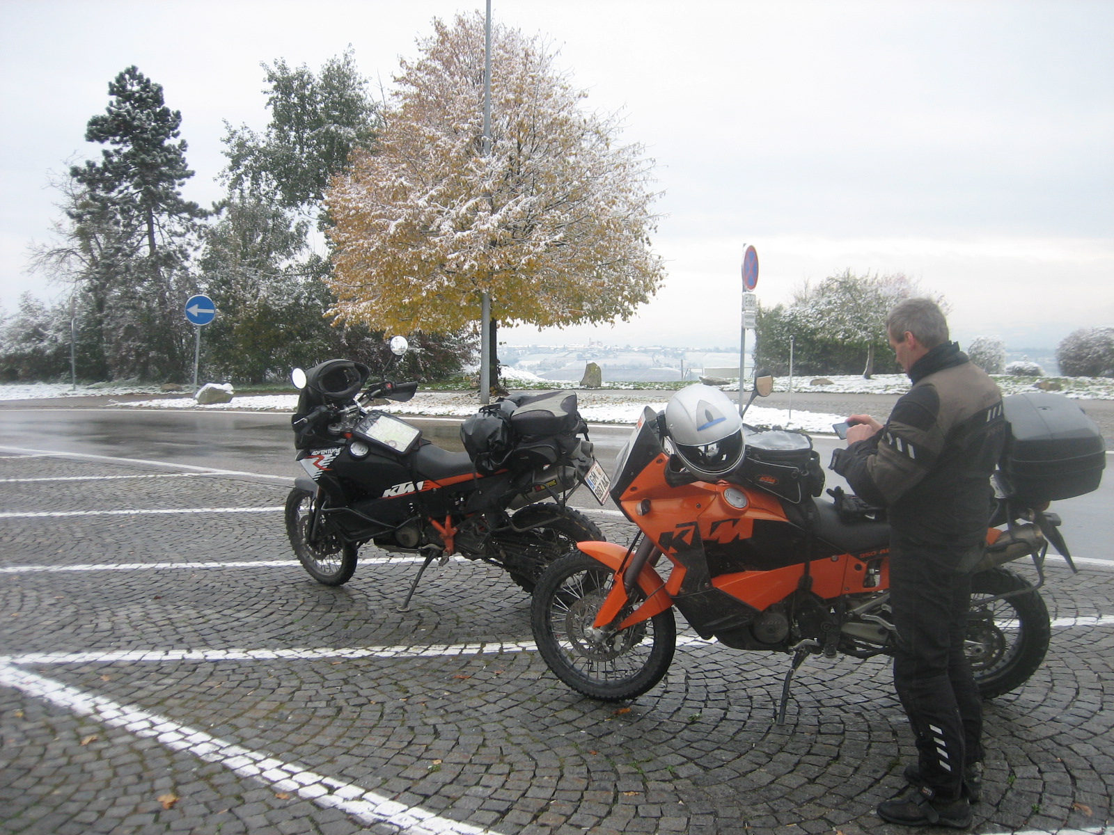 IMG_3317.JPG