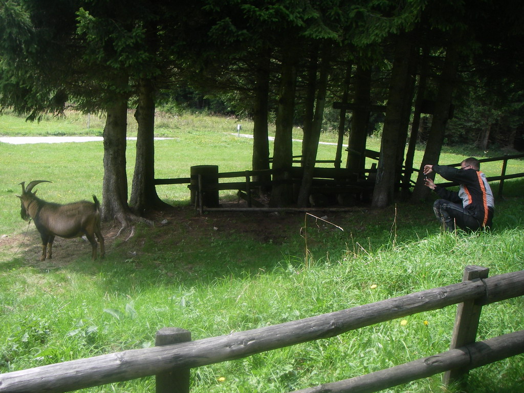 Slovenien 257.JPG