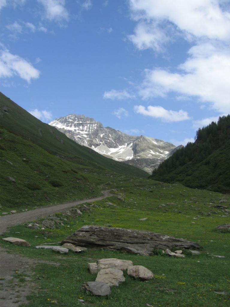 20060618-163322-PF.JPG