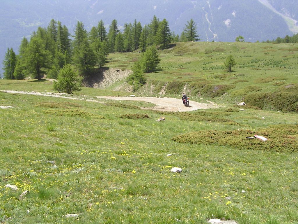 20060619-120356-IS.JPG