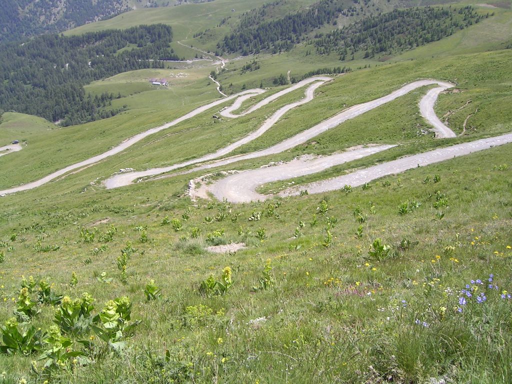 20060622-140608-IS.JPG