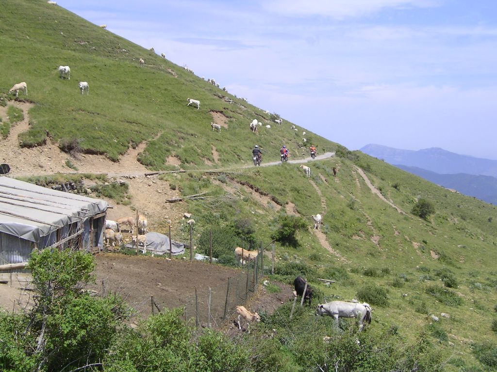 20060622-142148-IS.JPG
