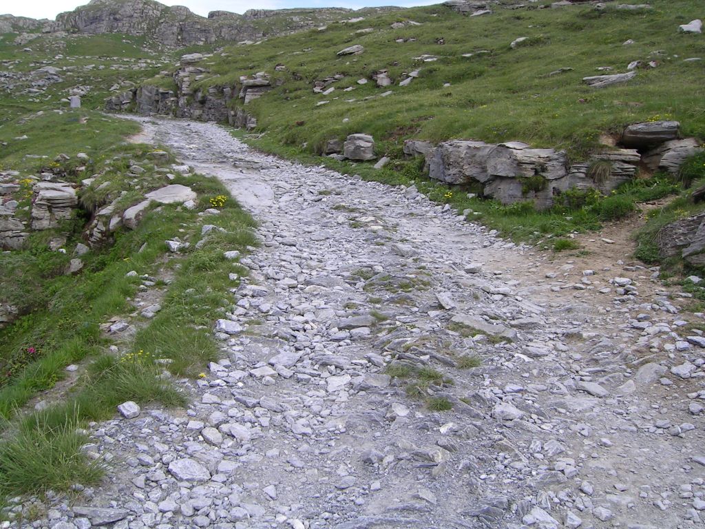 20060622-161950-IS.JPG