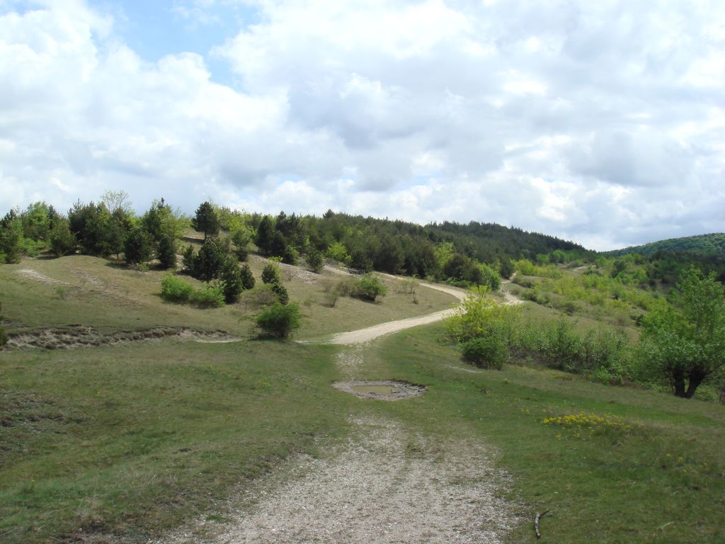 20070430-105226-MF.JPG