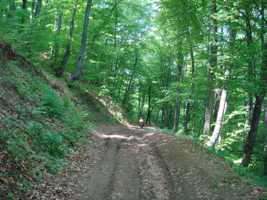 20070430-111622-MF.JPG