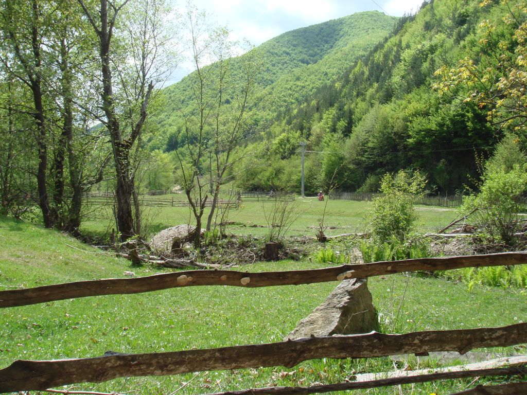 20070430-113538-MF.JPG