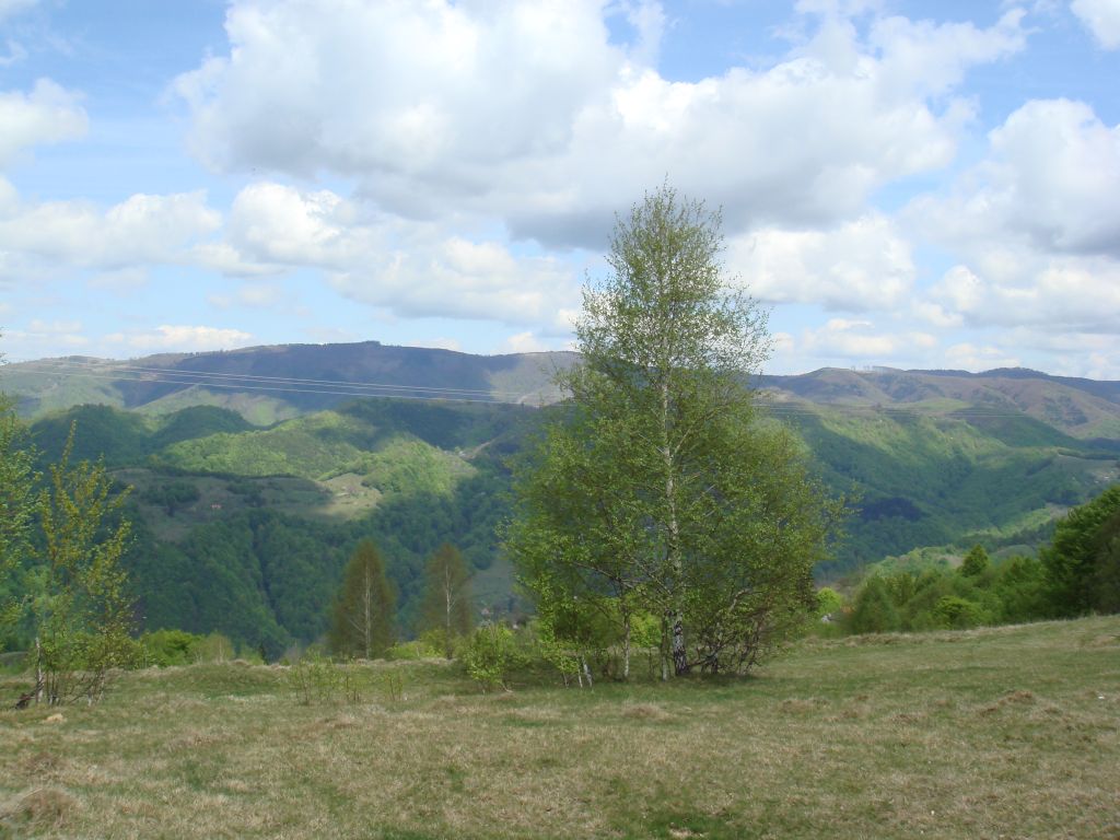 20070430-120200-MF.JPG