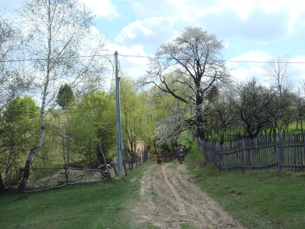 20070430-125336-MF.JPG