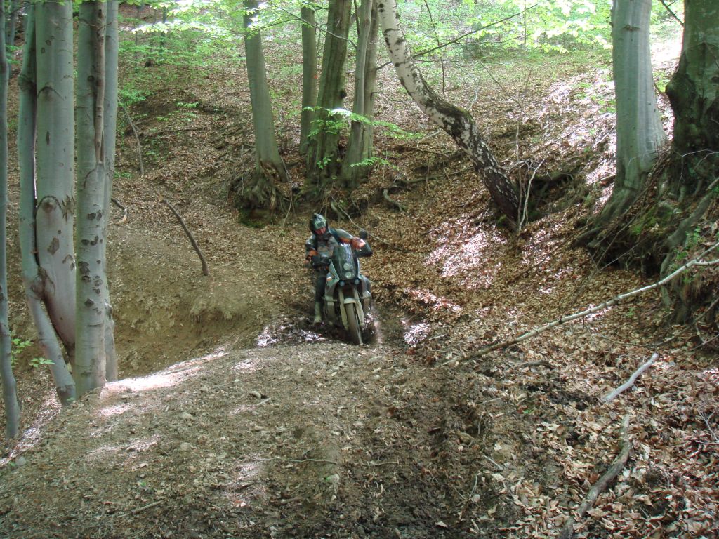 20070430-133716-MF.JPG