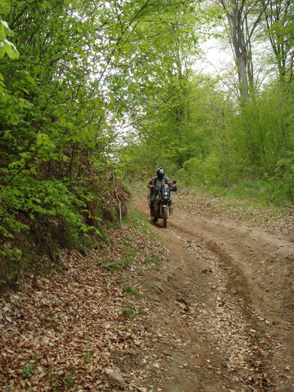 20070430-135016-MF.JPG