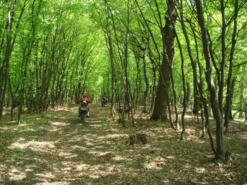 20070502-124402-MF.JPG