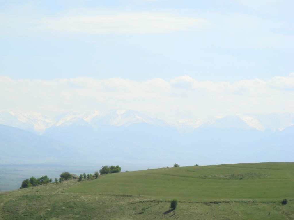 20070503-142432-MF.JPG