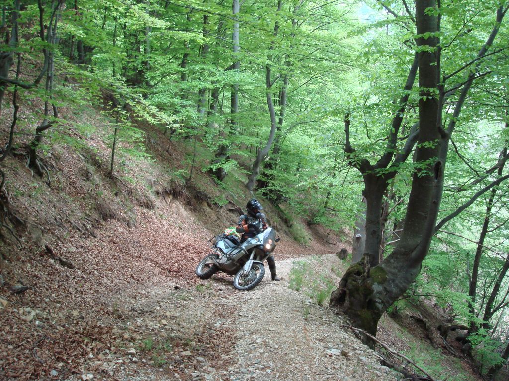 20070504-140210-MF.JPG
