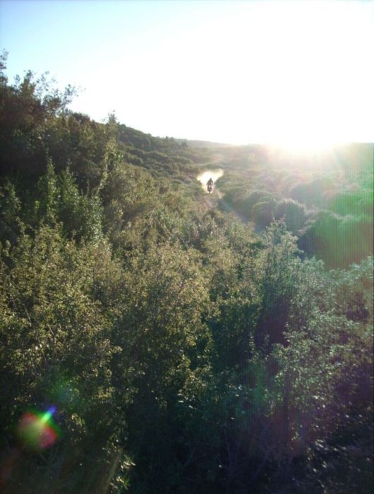 a28.JPG