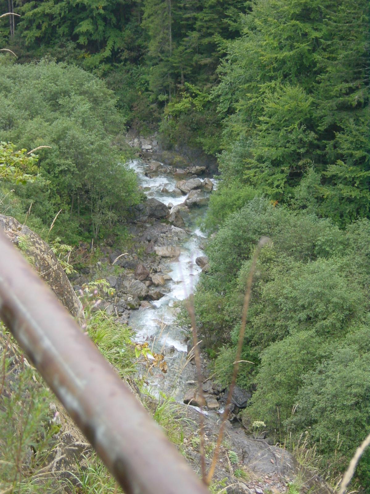 DSC03514.JPG