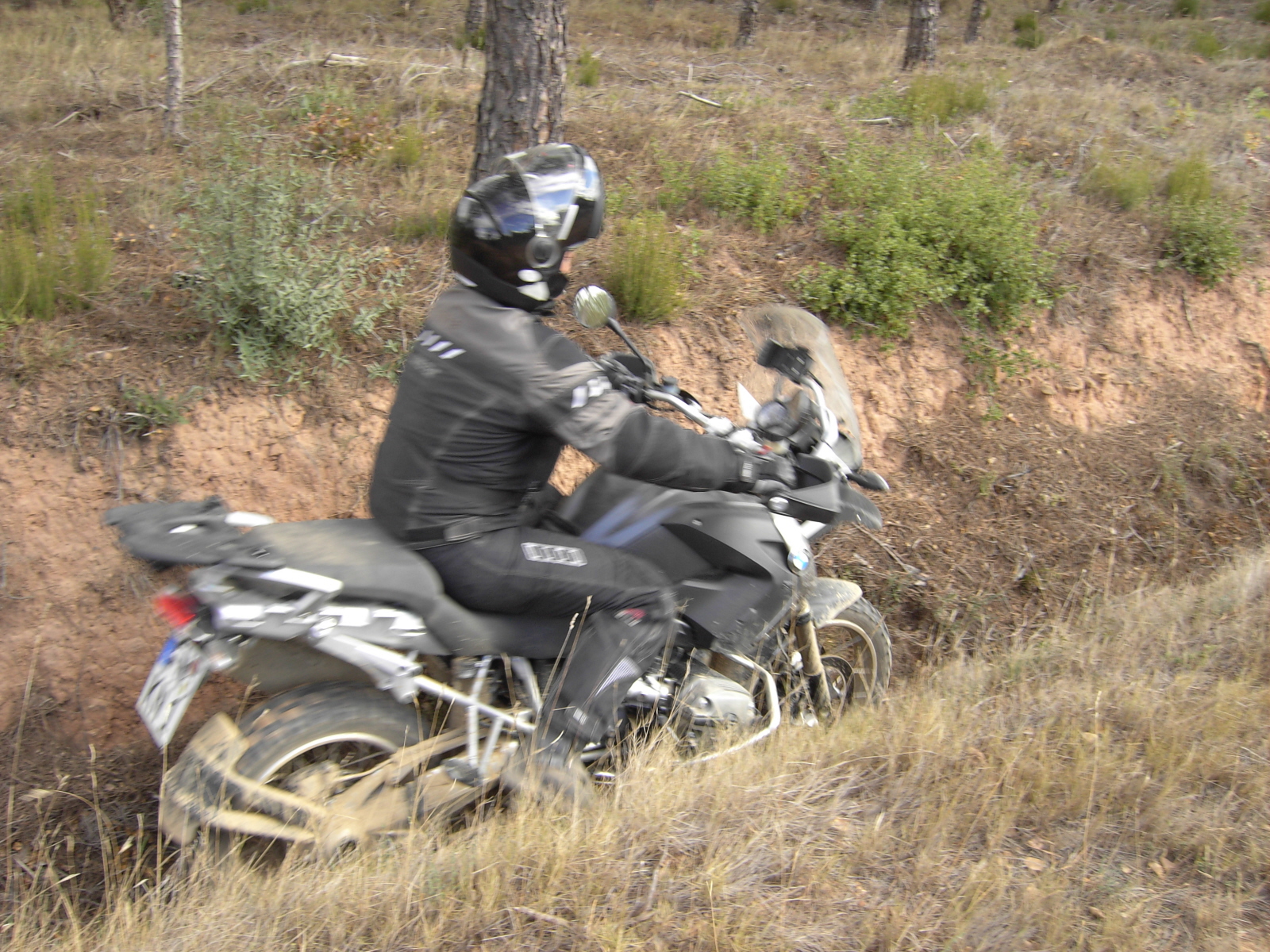 moux2008 011.jpg