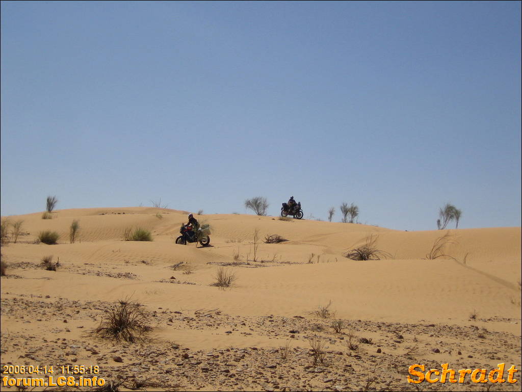 nach Ksar Ghilane - 015