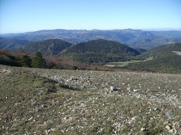 Image 11483