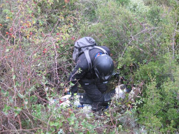 Image 11493