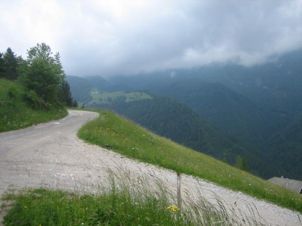 IMG_1698.jpg
