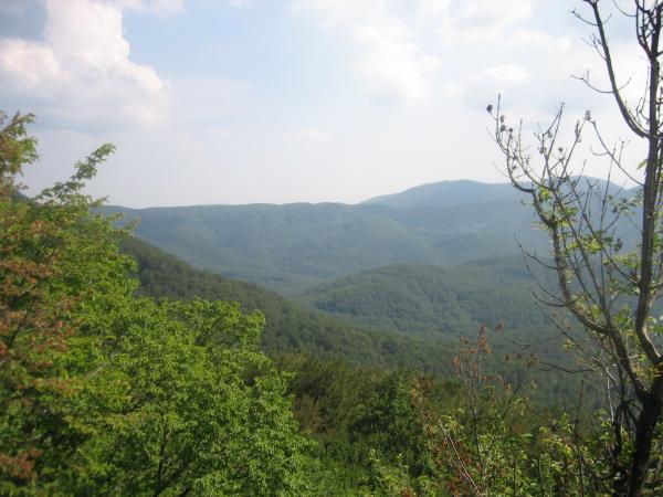 IMG_1728.jpg