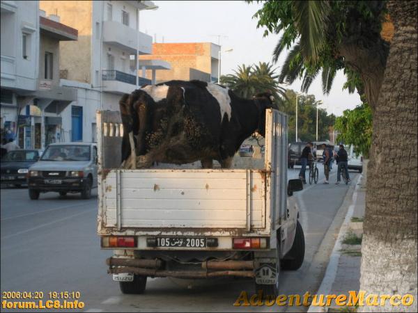 Ruhetag Nabeul - 028