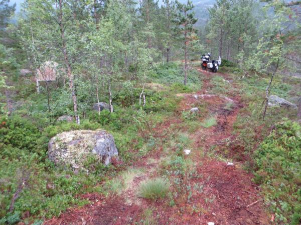 Wildcampen