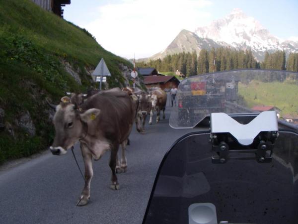 Gegenverkehr am Flexenpass