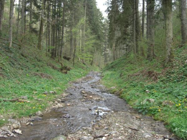 20070429-173020-MK.JPG