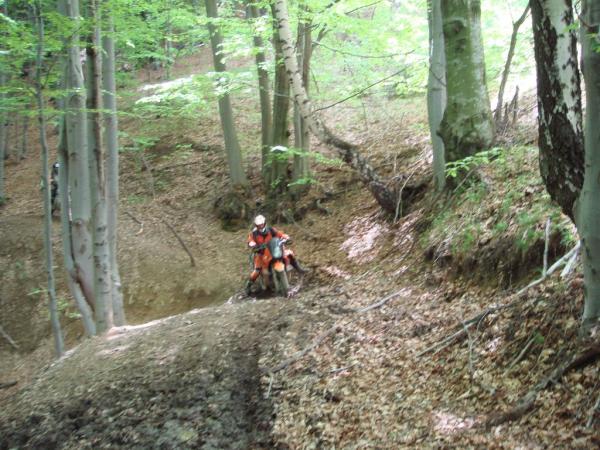 20070430-133656-MF.JPG