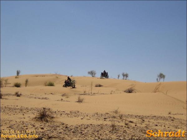 nach Ksar Ghilane - 015