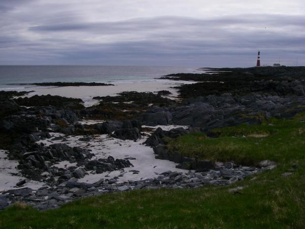 Image 9861