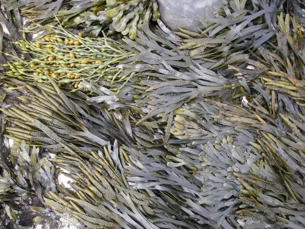 Image 9869