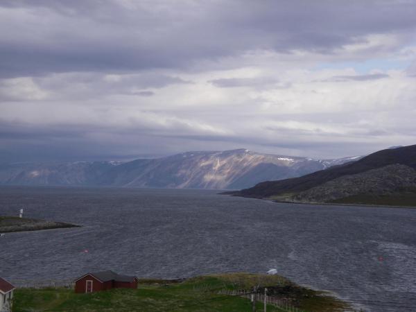 050.JPG