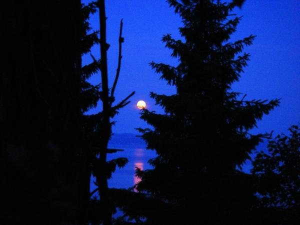 Image 9911