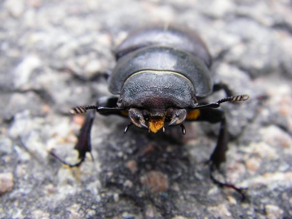 Image 9933