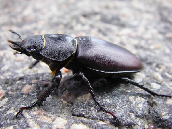 Image 9934