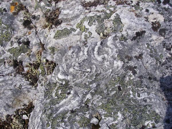 Image 9935