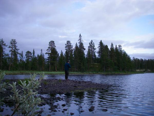 Image 9944