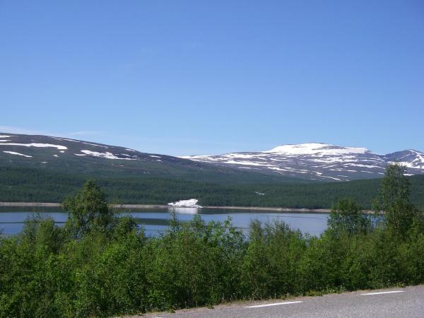 Image 9979