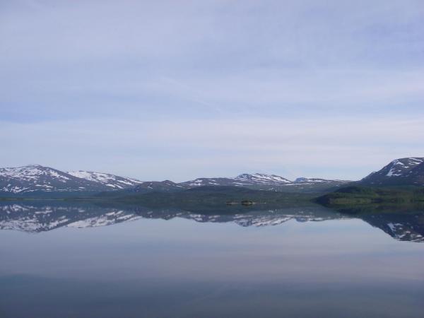Image 9980
