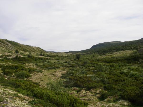 Image 9981