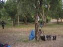 Vorheriges Bild