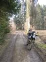 Nchstes Bild
