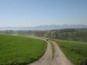 Nchstes Bild