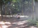 Nchstes Bild